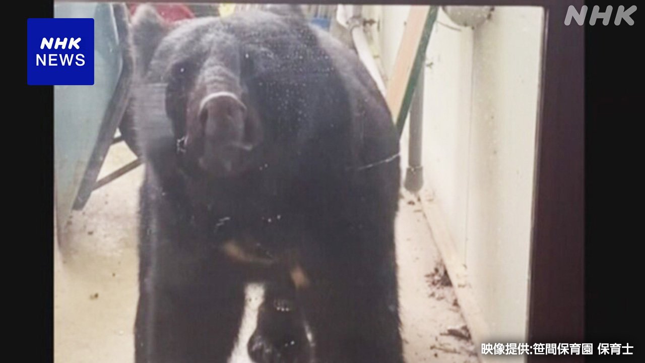 岩手県　保育園の庭に熊が入ってきた