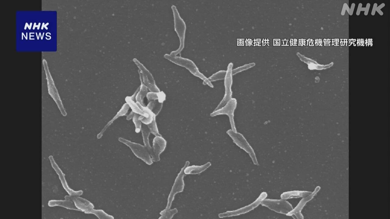 マイコプラズマ肺炎になる人が増えている